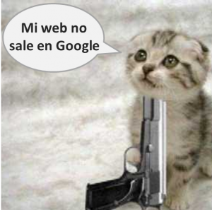 MI web no sale en Google